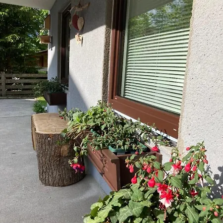 Apartament Hanni *
